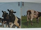 17459 LP 33 giri Gatefold - Pink Floyd - Atom heart mother - Harvest 1970