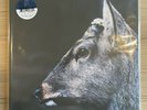 TOE The Book About My Idle Plot on a Vague Anxiety Dark Blue/Sky Blue Vinyl LP