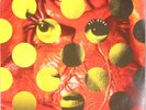 David Byrne Rei Momo LP Luaka Bop 9 25990-1 Talking Heads