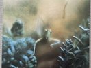 Steely Dan Katy Lied LP German Pressing import rare