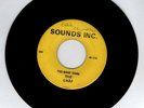 GARAGE 45 RPM -THE GRAF ON SOUNDS INC. RECORDS