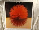 Yutaka / Love Light 1981 VINYL LP (VG+ tested) COVER VG / JAZZ / FUSION