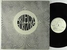 Artificial Horizons - S/T LP - Horizon - Private Experimental Electronic