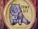TONY SLY - SAD BEAR NEW VINYL No Use NOFX Lagwagon MxPx Joey Cape Rise Against