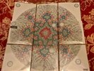 Red Hot Chili Peppers ‘I’m Beside You’ 7” Vinyl x 9 + Display Casing. US Release