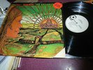 THE CHILDREN REBIRTH LP WHITE LABEL PROMO MONO FROM 1968 ATCO SD33271 VG+ VINYL