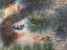 PINK FLOYD - A SAUCERFUL OF SECRETS - 12