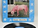 EAST RIVER PIPE ‘Poor Fricky’ 1994 Vinyl LP on Sarah Records A1/B1 – A10