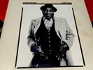 Hard Again Muddy Waters First Pressing 1977 BL 34449 Blue Sky Label EX+