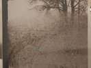 Bon Iver - For Emma, Forever Ago - 1 Vinyl - LP