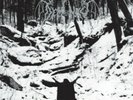 Demoncy Within The Sylvan Realms Of Frost LP  Katharsis Archgoat Forteresse