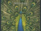BLUETONES, The - Expecting To Fly (25th Anniversary Deluxe Edition) - 4xLP