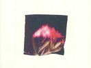 MASIN, Gigi/JONNY NASH - Postcards From Nowhere - Vinyl (LP)