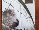 PEARL JAM / VS by Pearl Jam (Record, 2011)