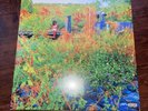 Trip - Jhené Aiko - Limited Edition Orange Translucent Vinyl