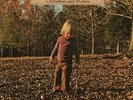 LP The Allman Brothers Band Brothers And Sisters GATEFOLD NEAR MINT Capricor