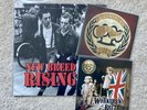 Queensbury Rules Singles + LP New Breed Rising Oi  Punk Vinyl + The Reapers CD