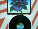 Thin Lizzy Black Rose A Rock Legend Vinyl 1979 Vertigo 1st Press 1Y3/2Y2 LP EXC