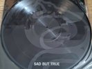 Metallica Black Album Box Set Item. Sad But True Picture Disc 2021 180G Vinyl EP