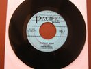 THE MONZAS INSTANT LOVE Northern Soul Beach RARE