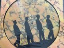 Echo And The Bunnymen Songs To Learn And Sing Rare Picture Disc