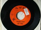 Teen Tones Fortune Teller Poison Ivy Don & Mira Records South Bend 1965 Garage
