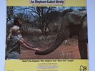 An Elephant Called Slowly LP Music From The Motion Picture Howard Blake 1970