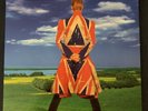 David Bowie Earthling 2LP Vinyl Record New Remastered Brilliant Adventure Box