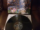 JELLYFISH Bellybutton LP PROMO signed by Roger and Eric Dover 1st pressing