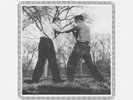 Teens Of Denial by Car Seat Headrest (Record, 2016)