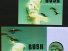 BUSH THE SCIENCE OF THINGS LP 1999 NMint