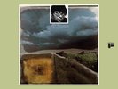 Cecil Taylor - Silent Tongues [Vinyl New]
