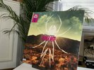 My Chemical Romance ‎– Danger Days: The True Lives Of The Fabulous Killjoys 12”