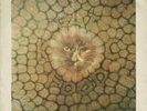 KING CRIMSON Cat Food Vinyl Record Single 7 Inch Island 1970 Prog Rock And Music