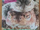 Peter and the Test Tube Babies - Mating Sounds of South American Frogs 1st press