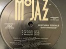 Wayman Tisdale Circumstance Vinyl Record Acid Jazz Promo 1995 MoJazz