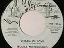 Obscure Modern Disco Funk 45 TEQUILA MOCKINGBIRD Boogie Baby TMB Promo Soul mp3