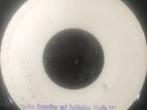 ZOOT SIMMS/THE ESTABLISHMENT - Small Garden, Rare Ja. Blank 1970's Roots