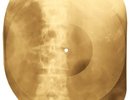 Bob Marley - Buffalo Soldier  X-RAY OF USSR X-RAY BONE RECORDS