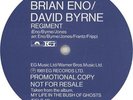 Regiment Brian Eno & David Byrne 12