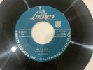 Al Casey – Willa Mae / She Gotta Shake 45 Liberty F 55117 Rock & Roll Surf - VG+
