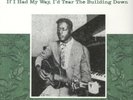 Blind Willie Johnson – If I Had My Way, I'd Tear The Building Down Vinyl NEW