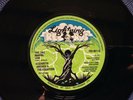 ELIZABETH ARCHER & EQUATORS - FEEL LIKE MAKING rare UK 1977 / REGGAE DUB / MINT-