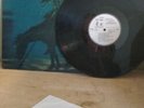 Beach Boys promo Surf Up LP original. includes sleeve and double liner sheet.