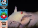 DAMNED, THE-Strawberries - Red & Green Vinyl VINYL NEW