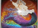 Bullfrog - High In Spirits / Vinyl LP / Krautrock