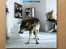 GRINDERMAN 2 Vinyl LP NM Nick Cave + Booklet + Poster
