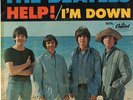 The Beatles Help / I'm Down Vinyl 45 Capitol 5476 Picture  Sleeve**FREE SHIP**