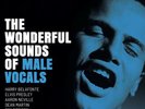 The Wonderful Sounds Of Male Vocals Limited Edition 2x Vinyl LP APP131