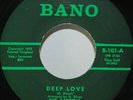 Caprells 45 Deep Love b/w Hey Girl 1972 Sweet Soul Rare Pittsburgh BANO NR-2156